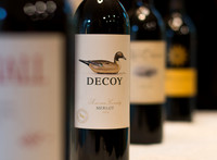 Decoy - The Clear Choice