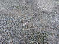 Stone Texture