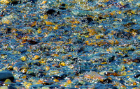 Rocky Beach
