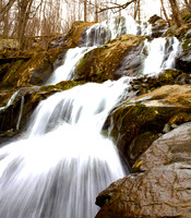 Spring at Shenandoah Falls