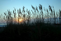 Dawn