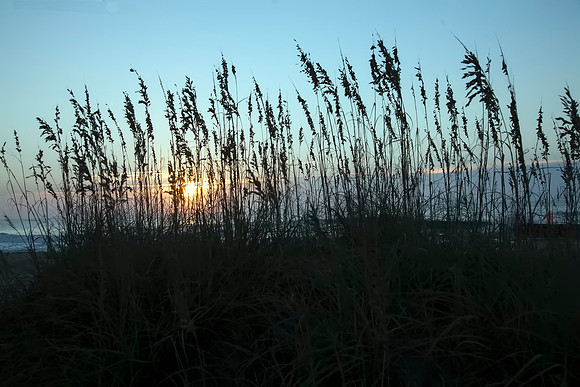 Dawn