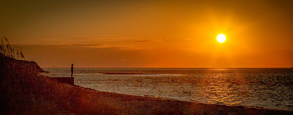 Solitary Sunset
