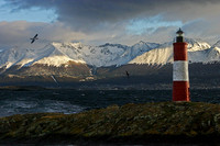 Beagle Chanel Lighthouse