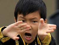 Kung Fu Novice
