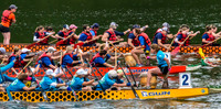 Dragon Boat Racers