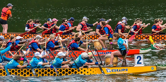 Dragon Boat Racers