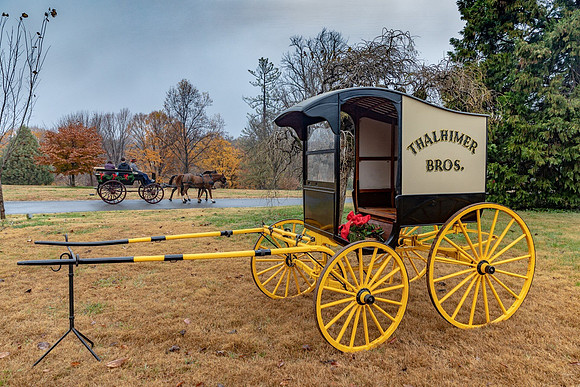 Thalhimer Buggy