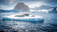 Antarctica Rest Stop