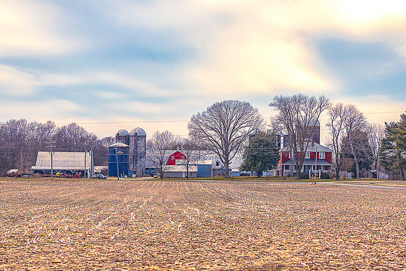 Winter At The Farm