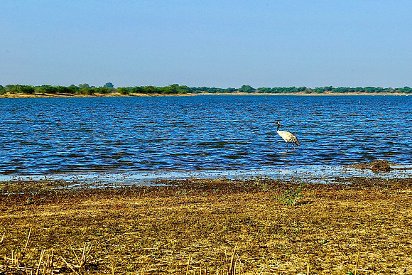Landscape