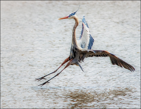 nailing the landing