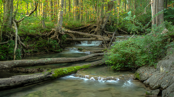 Sunset by the stream