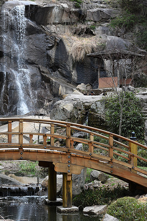Japanese Garden