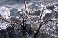 River Bling