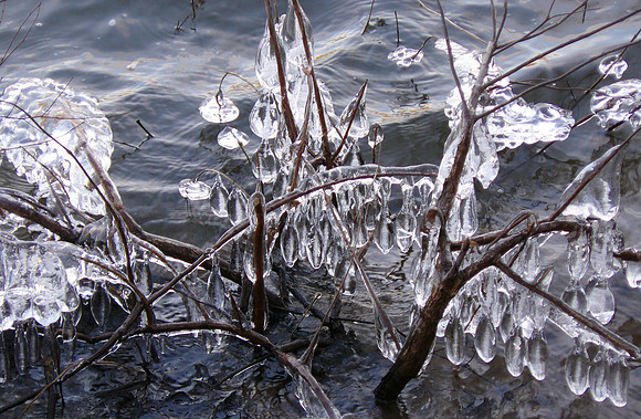 River Bling