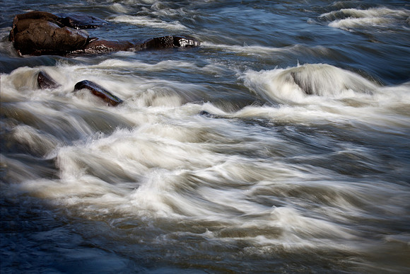 James River Close Up