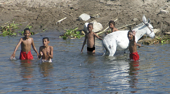 Nile Life