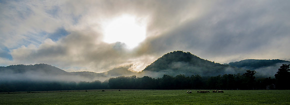 The Morning Mist