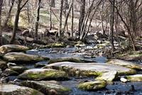 Bryan Park
