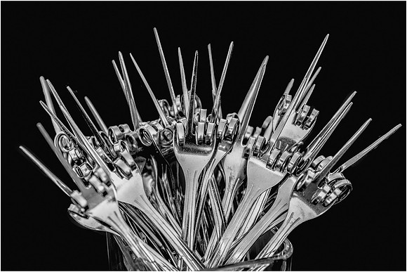 Fork Story