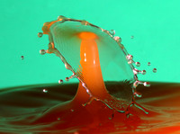 Double Drop
