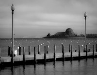 Lonely Lake