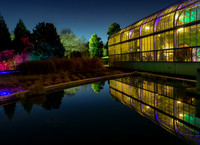 December, Ginter Conservatory