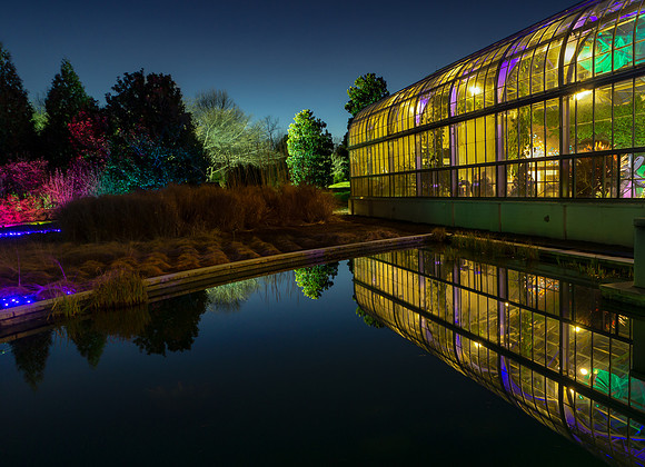 December, Ginter Conservatory