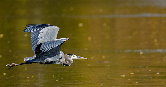 Flying by
