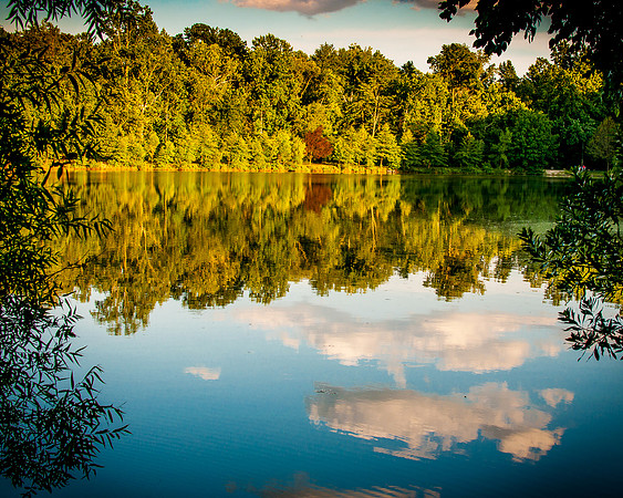 Serenity