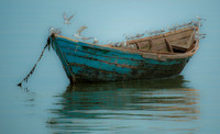 Bird Boat