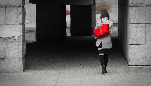 The Red Purse