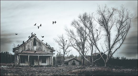 The Day After