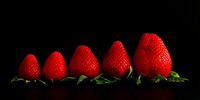 Berries on Black
