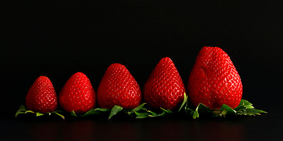 Berries on Black