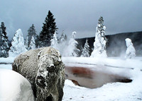 Hard Winter