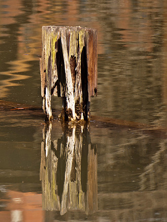 Decay