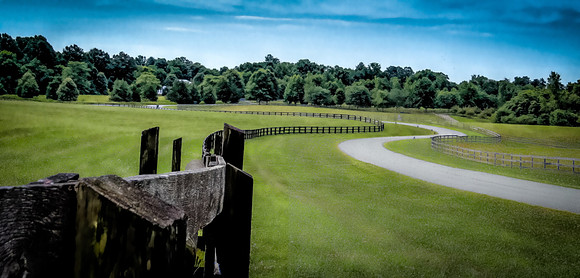 The Long and Winding Road