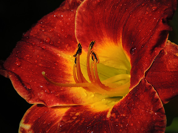 After the Rain