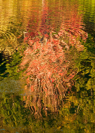 Autumn Reflections