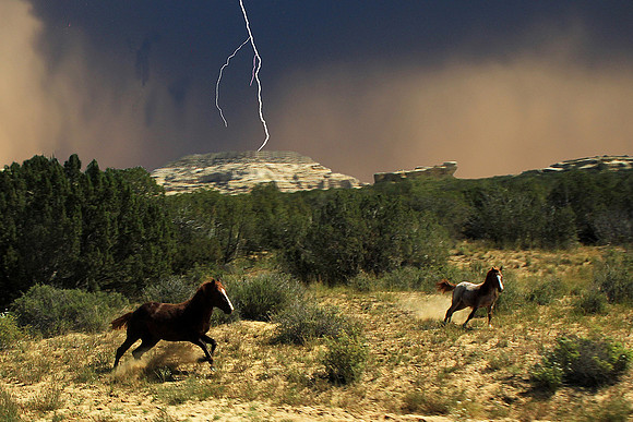 Nature's Fury