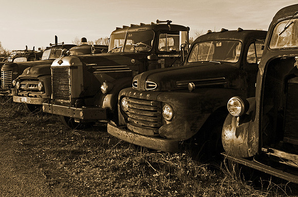 Line of Trucks