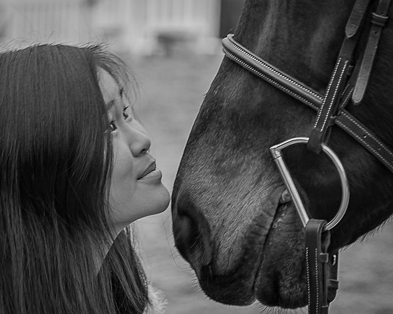 Horsey Happiness
