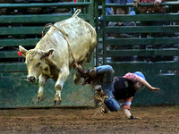 Dismount in 6 Seconds