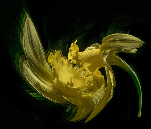 Tango