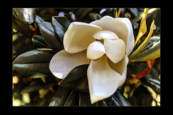 Aging Gracefully