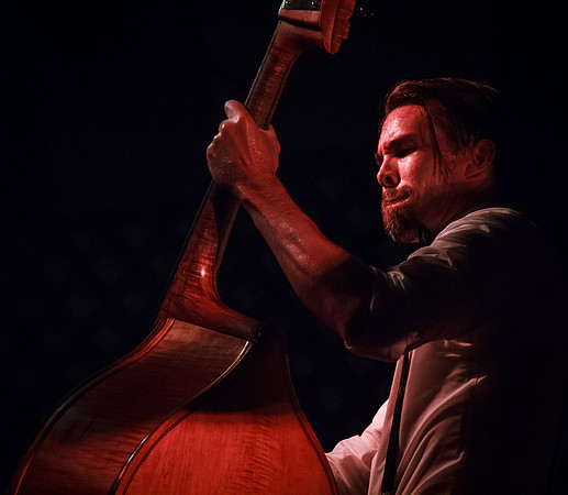 Jazz Bassist