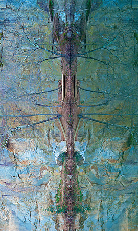 Rotated Reflection