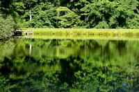 Reflections on a neighbor's pond